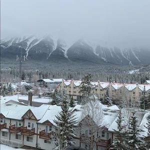 Meet your Posher, Neil